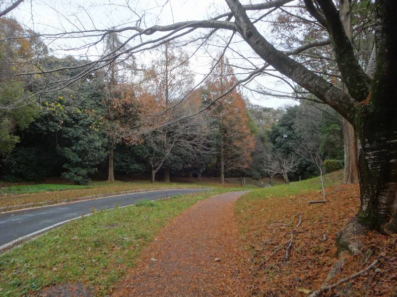 2025-12_SEITA1.jpg(100297 byte)